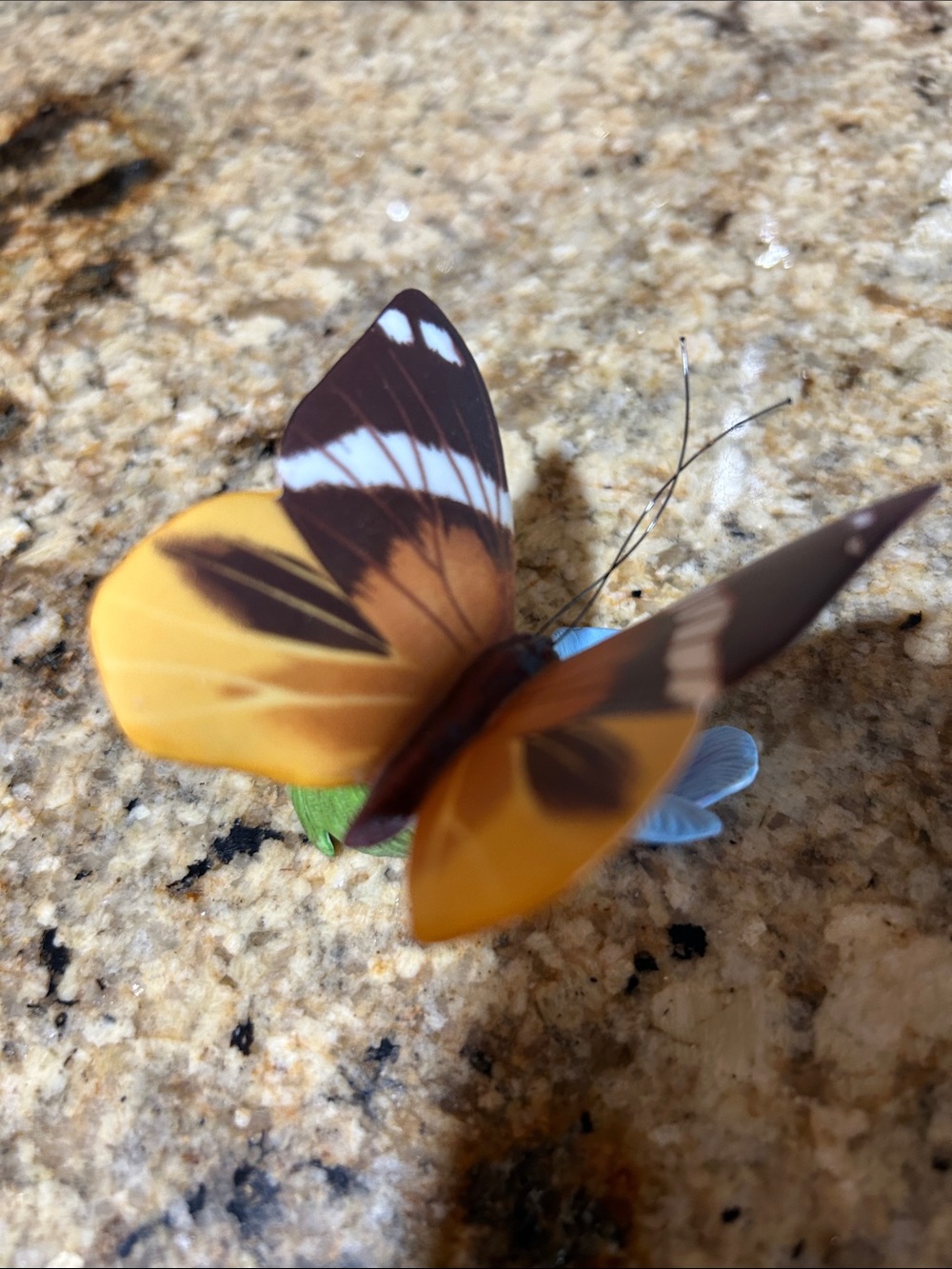 Franklin Mint Tufted Jungle King Butterfly porcelain figurine, 2.75” - Picture 3 of 8
